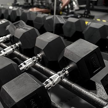 Rubber Hex Dumbbell Set from 2.5 kg to 50 kg - 16 pairs - Total Weight 730 kg